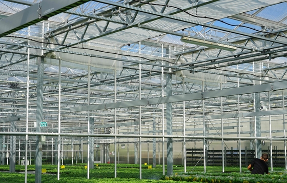 65% Làm vườn nhà kính bóng râm Lưới vải bóng râm Màn hình tiết kiệm năng lượng nhà kính