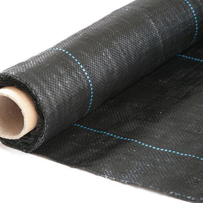 Thảm cỏ nhựa đen rộng 2m