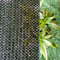 Lưới che nắng HDPE chống nắng màu xanh lá cây cho ban công cây vườn tại nhà