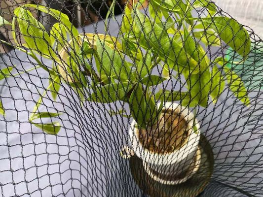 Hồ bơi Chống Heron Cá Koi Lưới Bảo vệ Ao Cá Bao gồm 15ft X 20ft Hdpe