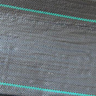 Sân vườn rộng 3m Thảm cỏ dại cấp công nghiệp 3x 50 cho vườn rau