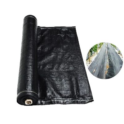 Uv Tấm chắn cỏ dại ổn định dưới lớp phủ sỏi