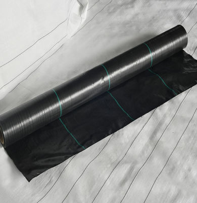 Thảm hoa thân thiện với môi trường Thảm cỏ dại dưới giường vườn cao 3,6m