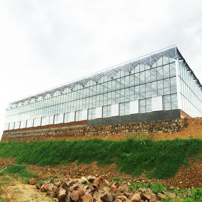 95 Chắn gió Green Agro Shade Netting HDPE Fabric Shade