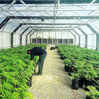 60% sân ngoài trời bằng nhựa Agri lưới che bóng cho vườn rau