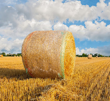 8.33GSM Bale Net bọc nhựa chống tia cực tím với dòng cảnh báo